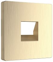 Лицевая панель Werkel для 1-м. розетки RJ11/RJ45 шампань рифленый картинка